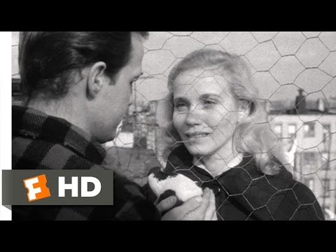 On the Waterfront (3/8) Movie CLIP - Terry Asks Edie Out (1954) HD