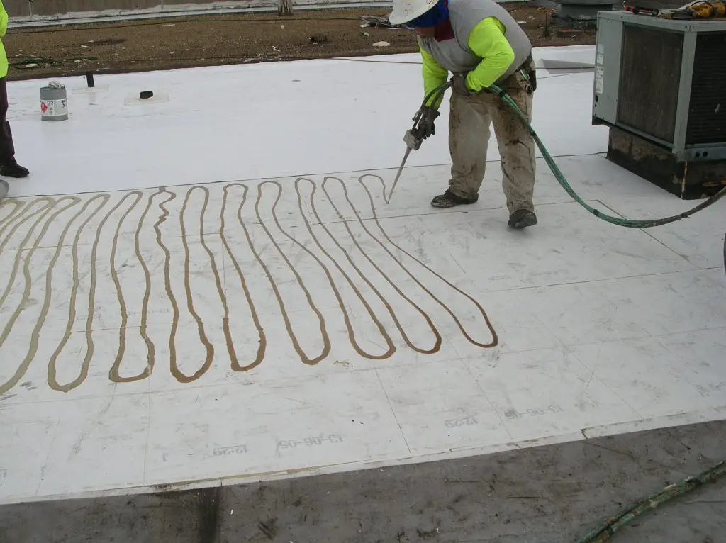 Installing a PVC field membrane sheet in polyurethane roofing adhesive.