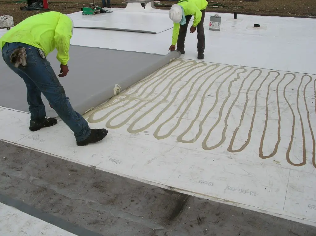 Applying polyurethane roofing adhesive to the cover board before setting a PVC roofing membrane.