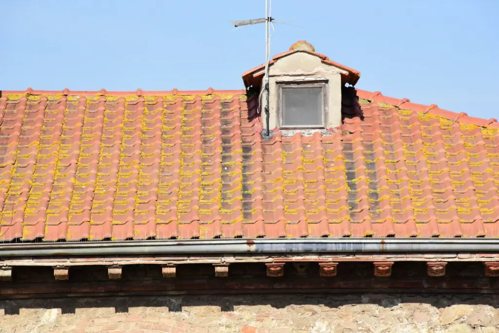 Clay S-Shaped Tile Roof.