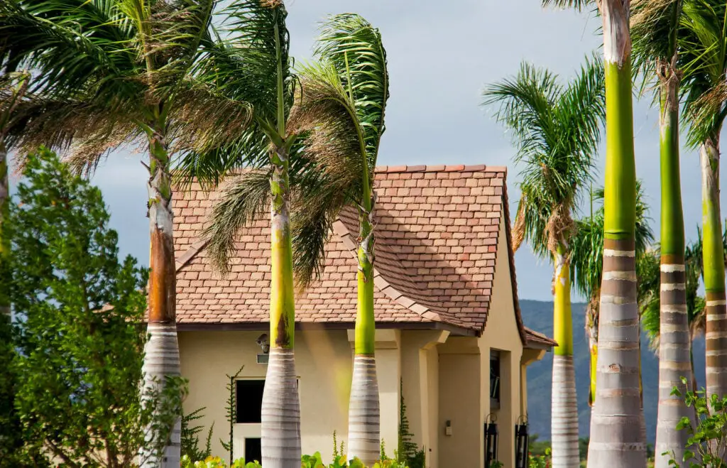 Flat Clay Tile Roof.