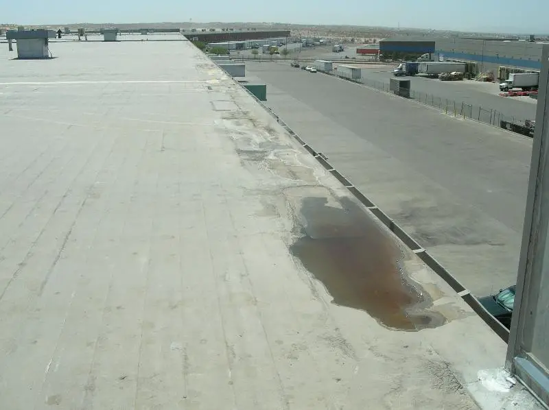 Here poor drainage leads to standing water along the gutter edge of this low-slope roof. Ponding water can speed up the deterioration of the roofing material.