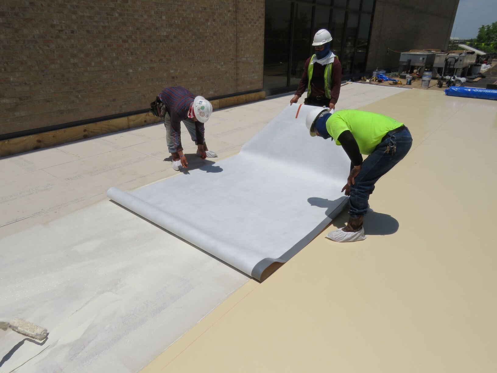 Installing a sheet of fleece-back PVC roof membrane in adhesive.