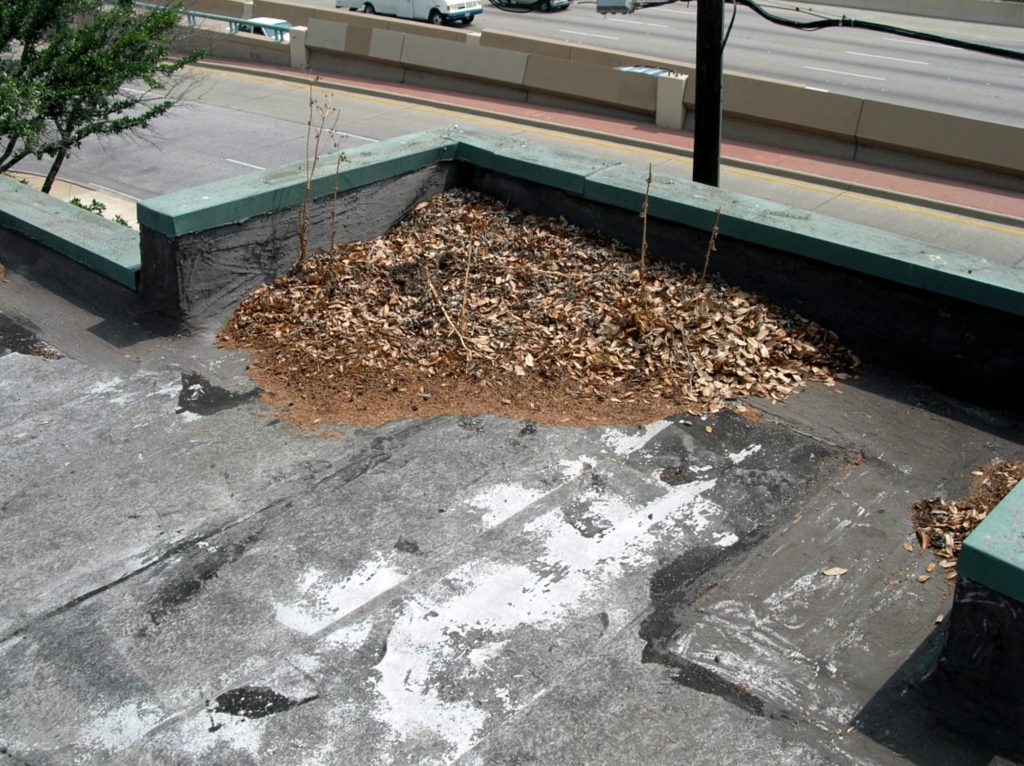 It’s important to stop organic debris from accumulating. Among other bad consequences, plants can start to grow, and the roots can penetrate the roof membrane. Now you’ve got a leak that could have been easily prevented.