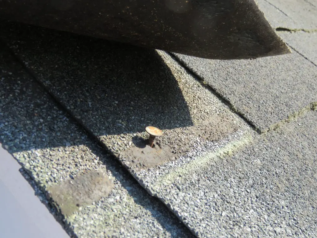 Roof Nail Pops • Causes, Consequences & How to Fix Them