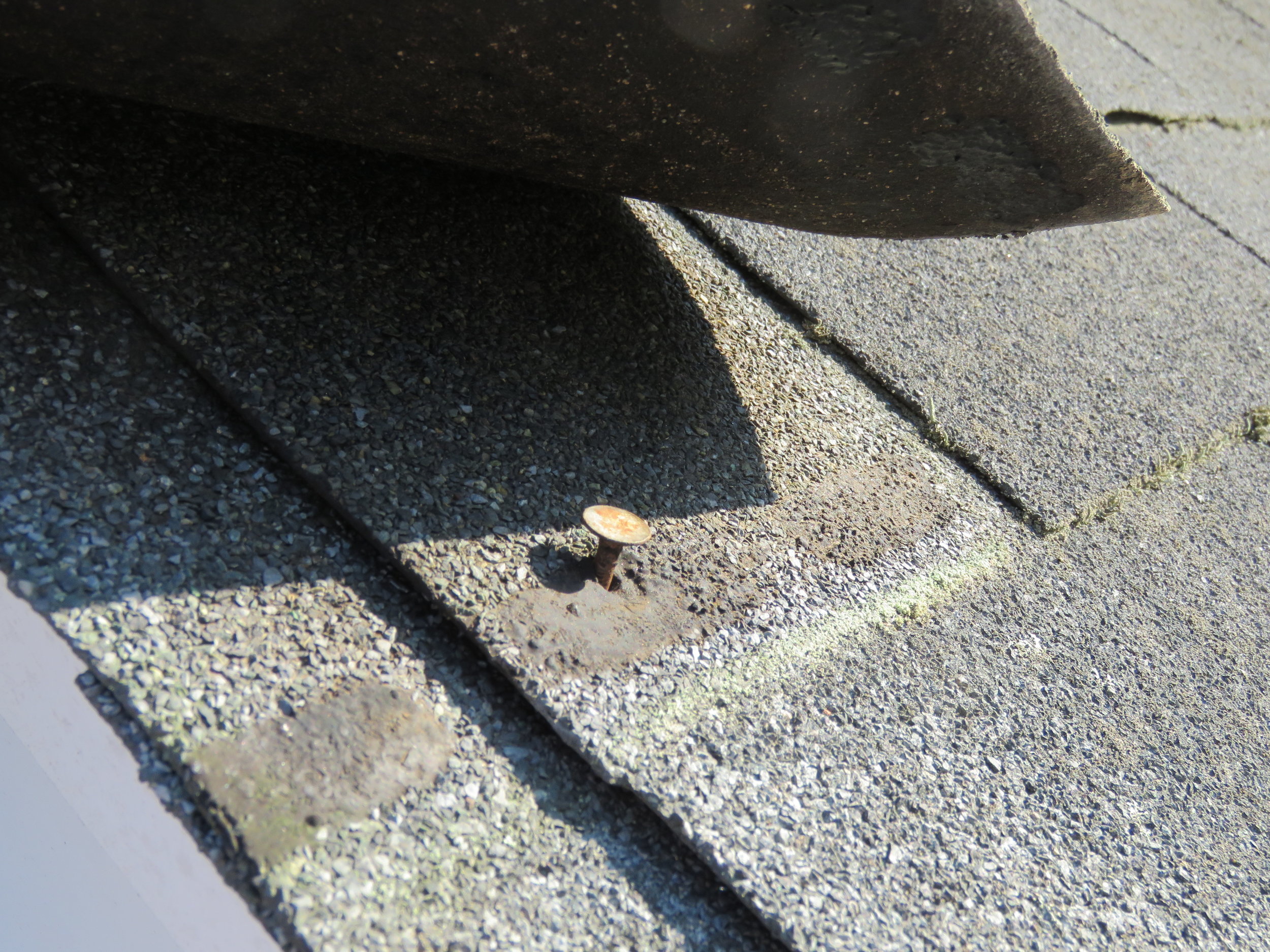A nail pop underneath the tab of an asphalt shingle.