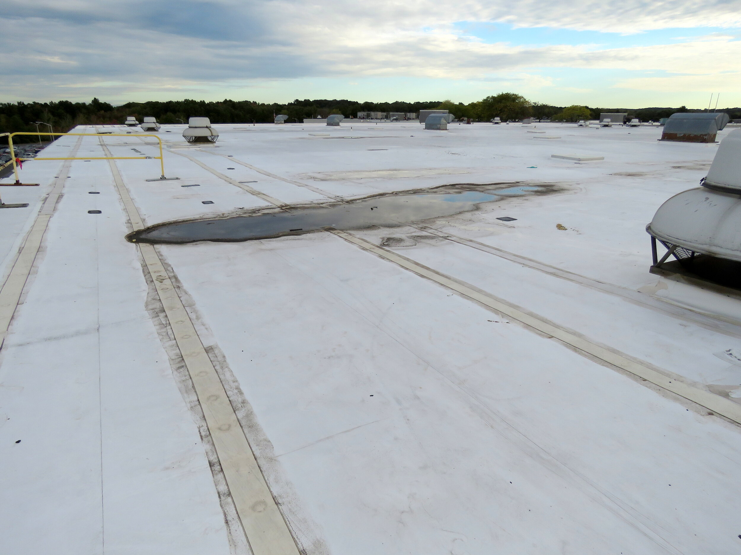 Chronic ponding water on this roof has contributed to permanent deck deflection and discoloration of the white roof membrane.
