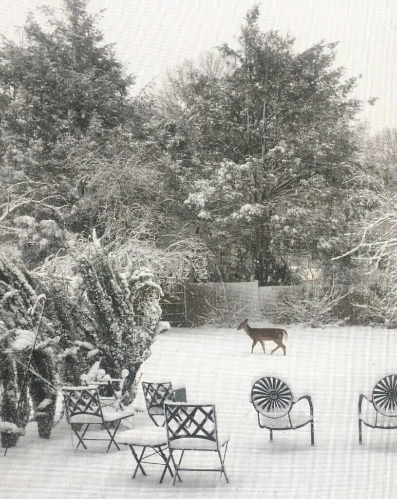 The weight of this fresh snow is probably about four pounds per cubic foot.