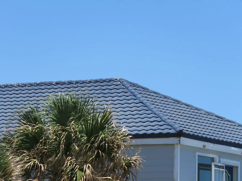 Blue S-shaped concrete roof tiles.